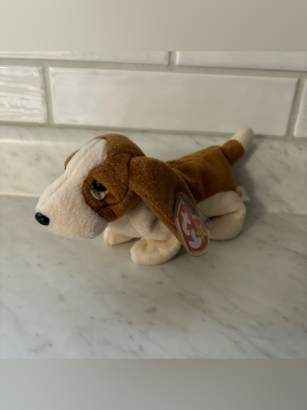 Tracker the Bassett Hound Beanie Baby